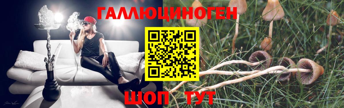 Псилоцибиновые грибы мицелий Янаул